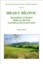 Hrad u Bílovic