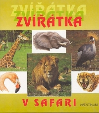 Zvířátka v safari