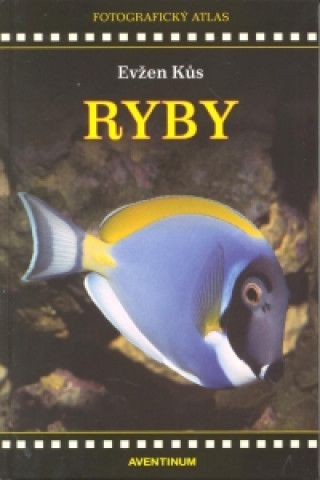 Ryby