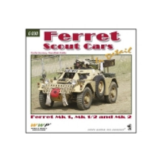 Ferret Scout Cars in Detail