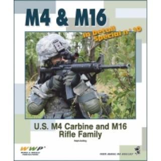 M4 & M16 in Detail