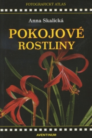 Pokojové rostliny