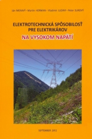 Elektrotechnická spôsobilosť pre elektrikárov na vysokom napätí