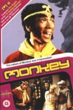 Monkey DVD 8