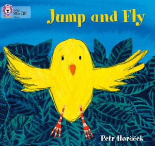 Jump and Fly (Petr Horá?ek)(Miękka)