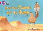 How the Camel Got His Hump