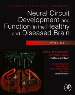 Neural Circuit Development and Function in the Healthy and D