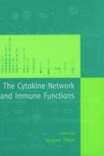Cytokine Network and Immune Functions