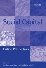 Social Capital