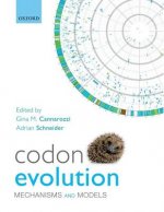 Codon Evolution