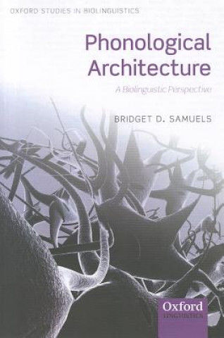 Phonological Architecture
