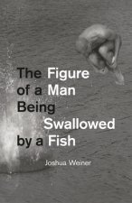 Figure of a Man Being Swallowed by a Fish