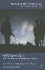 NATO Beyond 9/11