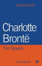 Charlotte Bronte: The Novels
