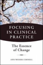 Focusing in Clinical Practice