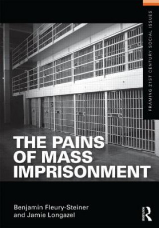 Pains of Mass Imprisonment
