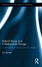 Hybrid Voices and Collaborative Change
