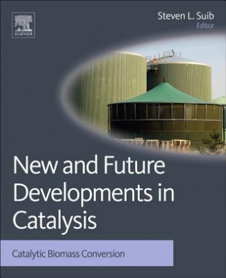 New and Future Developments in Catalysis