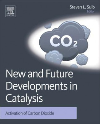 New and Future Developments in Catalysis