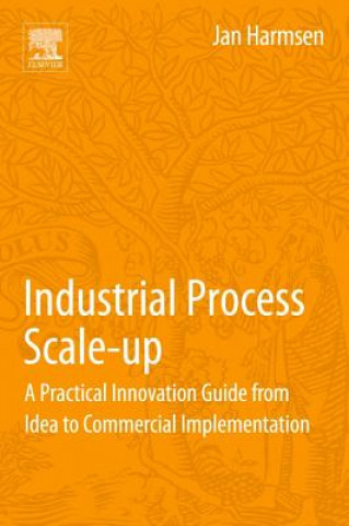 Industrial Process Scale-up