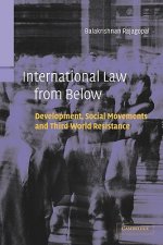 International Law from Below