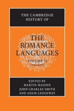 Cambridge History of the Romance Languages: Volume 2, Contexts