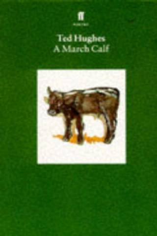 March Calf