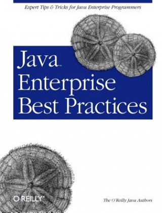 Java Enterprise Best Practices