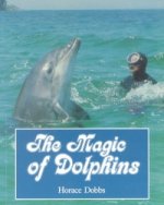 Magic of Dolphins