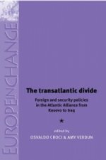 Transatlantic Divide