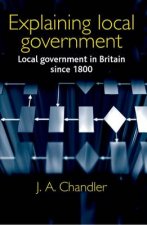 Explaining Local Government