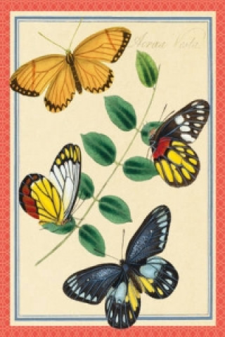 Asian Butterflies Keepsake Box