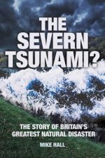 Severn Tsunami?