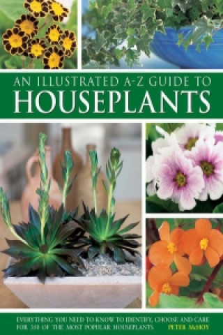 Illustrated A-Z Guide to Houseplants