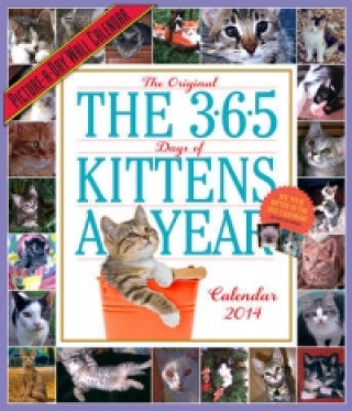 365 Kittens-A-Year 2014 Wall Calendar