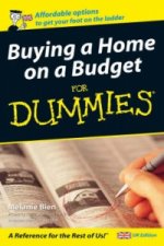 Buying a Home on a Budget For Dummies