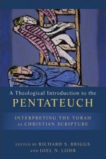 Theological Introduction To The P