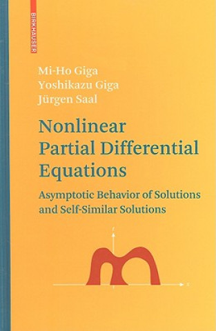 Nonlinear Partial Differential Equations