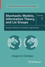 Stochastic Models, Information Theory, and Lie Groups, Volume 2