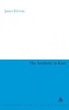 Aesthetic in Kant
