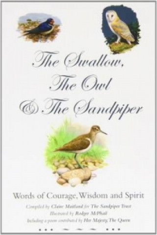 Swallow, the Owl and the Sandpiper