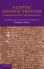 Coptic Gnostic Treatise