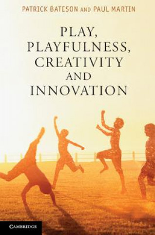 Play, Playfulness, Creativity and Innovation