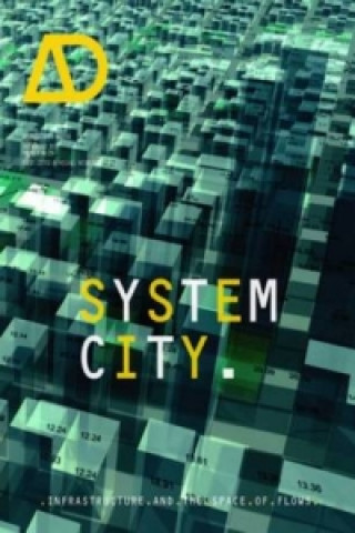 System City -  Infrastructure and the Spaces of Flows AD