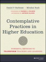 Contemplative Practices in Higher Education