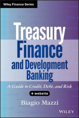 Treasury Finance and Development Banking + Website  - A Guide to Credit, Debt, and Risk