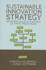Sustainable Innovation Strategy