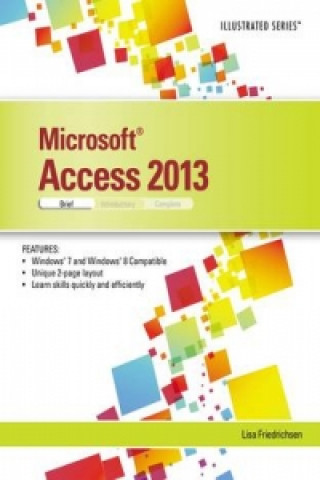 Microsoft (R) Access (R) 2013