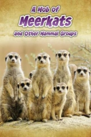 Mob of Meerkats