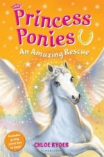 Princess Ponies 5: An Amazing Rescue